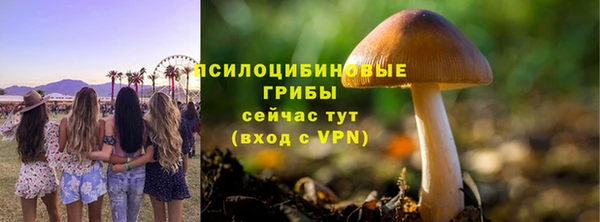 твердый Богданович