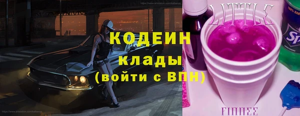 твердый Богданович