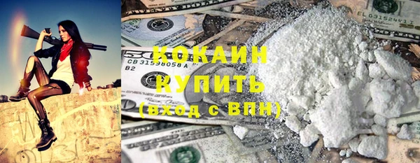 твердый Богданович