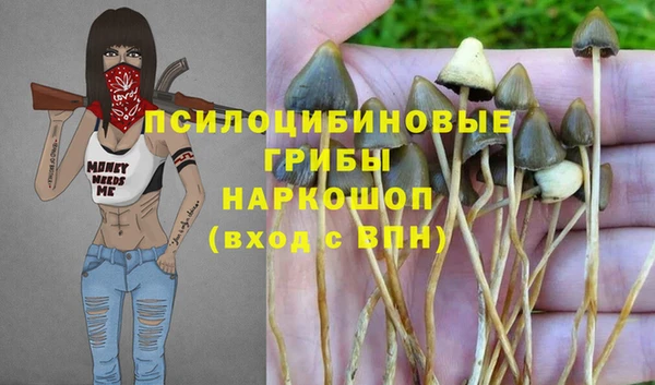 марки lsd Богородск