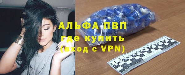 твердый Богданович