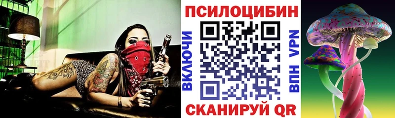 наркотики  omg как войти  Галлюциногенные грибы Psilocybe  Уссурийск 